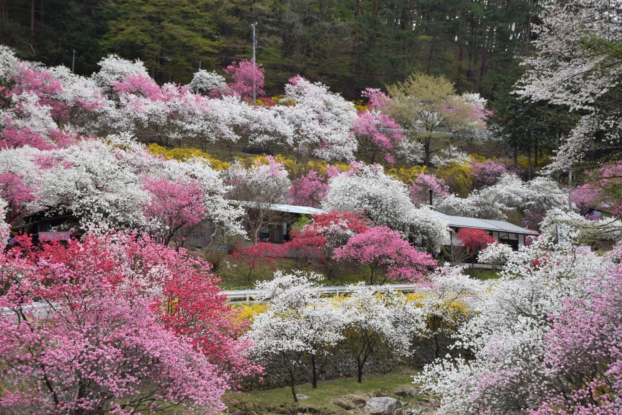 Hotel Yamabuki Komagane Kültér fotó